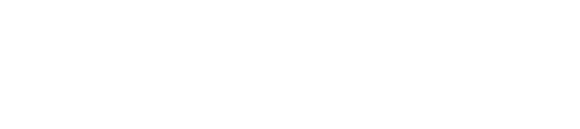 feedvisor logo white